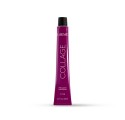 Lakme Collage Color 8/34 60 ml